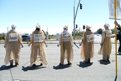 Ally Action: 10th Anniversary of Richmond Chevron Explosion:August 6th, 2022